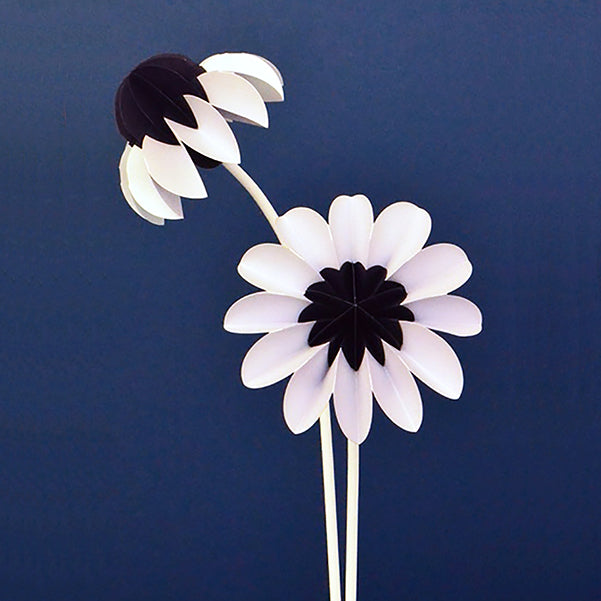 Paper Flowers Winter│Jorine Oosterhoff│Papieren Bloemen│foto blauwe achtergrond