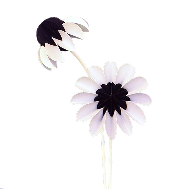 Paper Flowers Winter│Jorine Oosterhoff│Papieren Bloemen│foto witte achtergrond