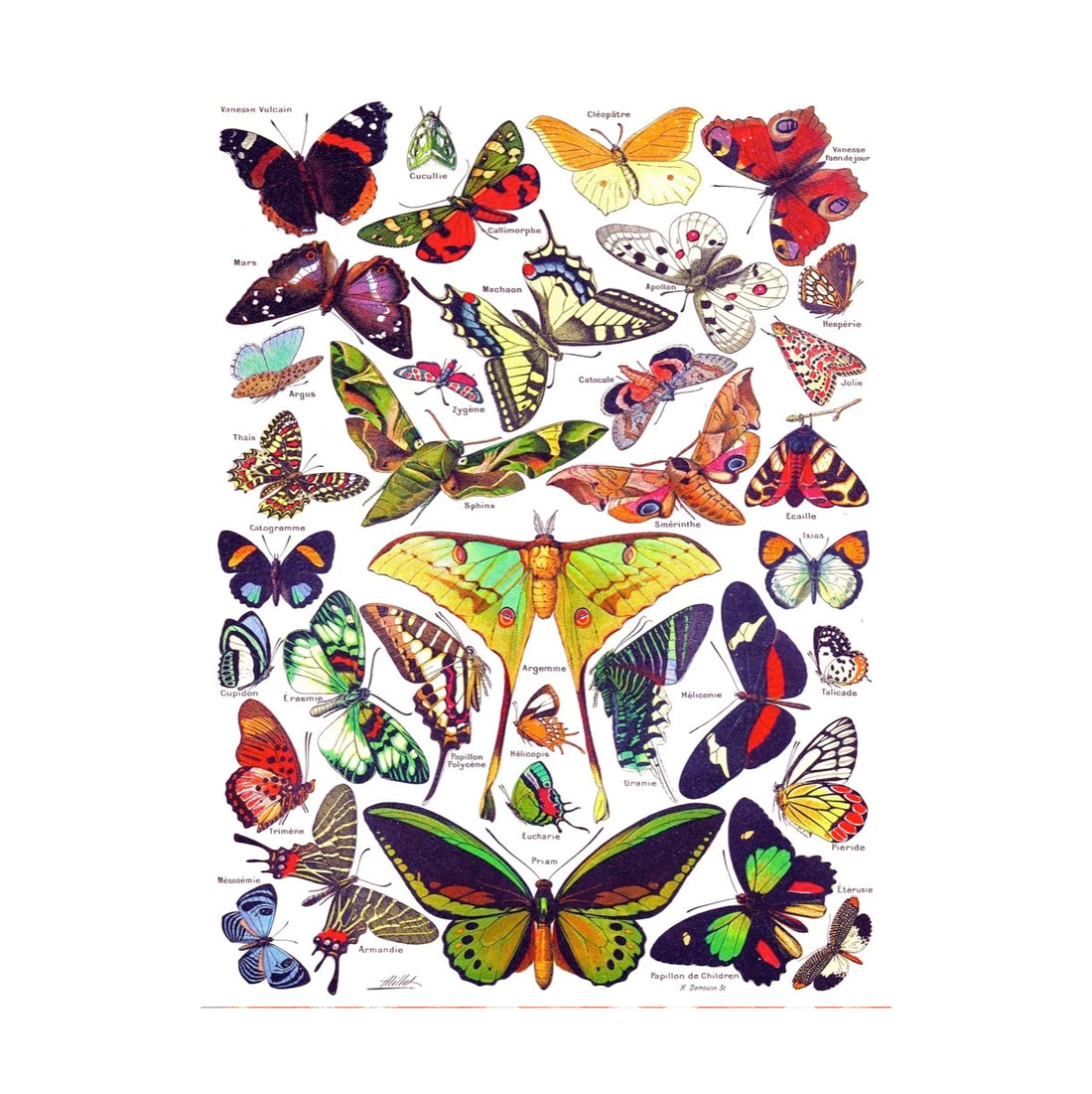 Puzzel Vintage Images Butterflies - Vlinders│New York Puzzle Company 1000 stukjes│art. PD633│verpakking met schaduw