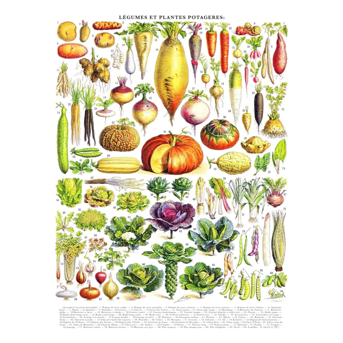 Puzzel Vintage Images Vegetables-Groente│New York Puzzle Company 1000 stukjes│art. PD635│afbeelding illustratie