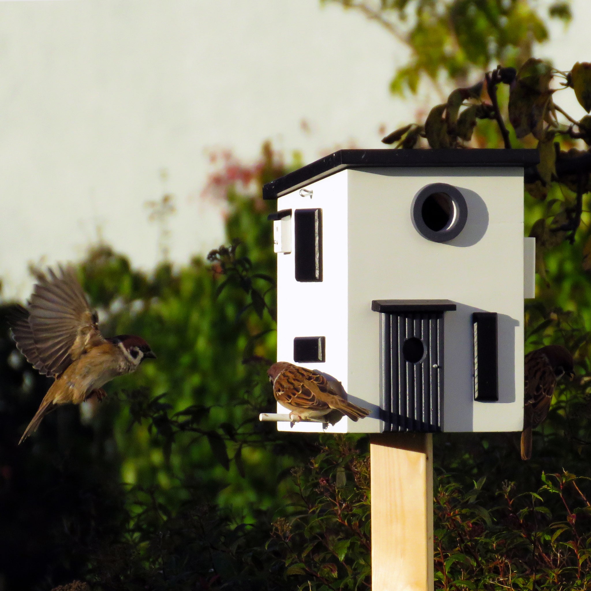 Design Vogel- en Voederhuis Functional House│Multiholk Wildlife Garden│foto in tuin met vogels