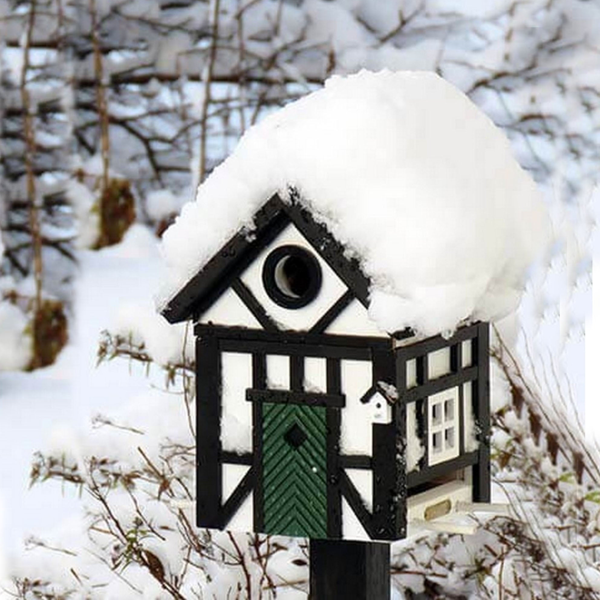 Design Voeder- en Vogelhuis Vakwerk│Multiholk Wildlife garden│foto in sneeuw