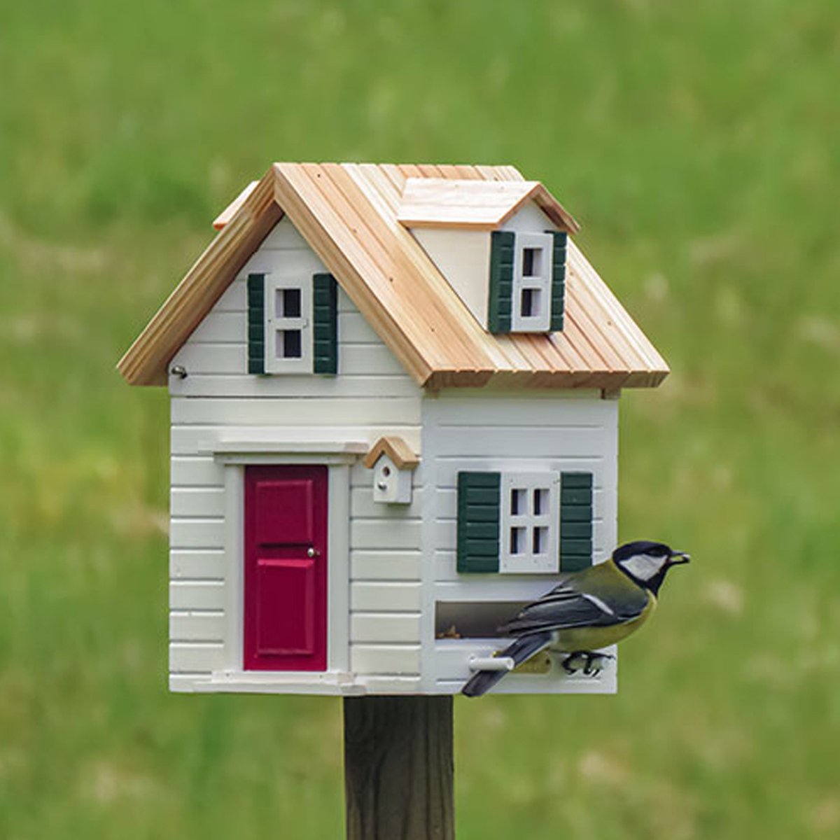 Multiholk New England Wildliffe Garden│art. WG1122│op houten paal in tuin met koolmeesje