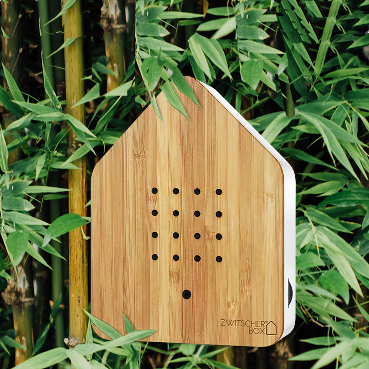 Zwitscherbox Bamboe Huisje met Vogelgeluiden│art. 11ZBX0200002│tussen bamboostruiken