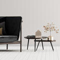 Zwitscherbox Classic Taupe│Vogelgeluiden│Relaxound│art. 11ZBX0101014│op salontafel naast bank
