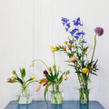 Flower Constellations Messing Medium│House of Thol│verchillende vazen naast elkaar