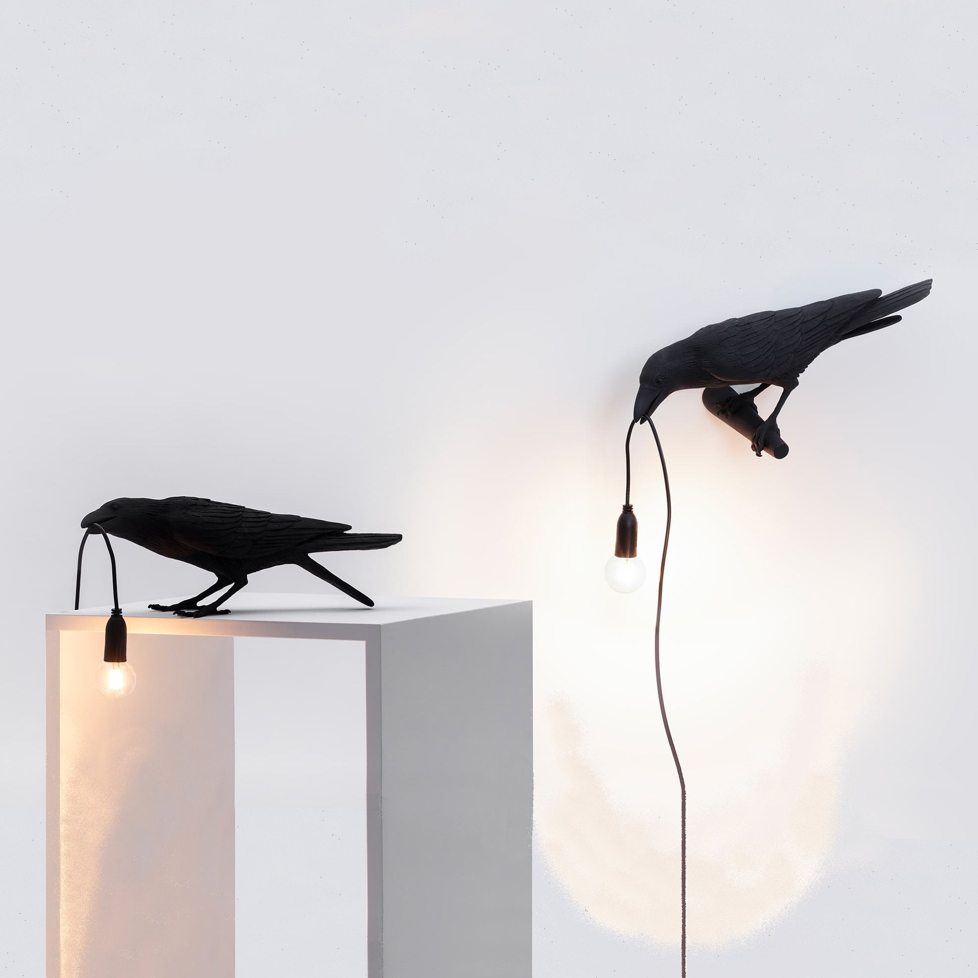 De Bird Lamp is een ontwerp van Marcantonio voor het Italiaanse merk Seletti. In sprookjes en films staat de kraai vaak symbool voor onheil. Maar deze vogels zijn je gevederde vriend en wijzen de weg in het donker. Verschillende versies, zowel indoor als outdoor. 