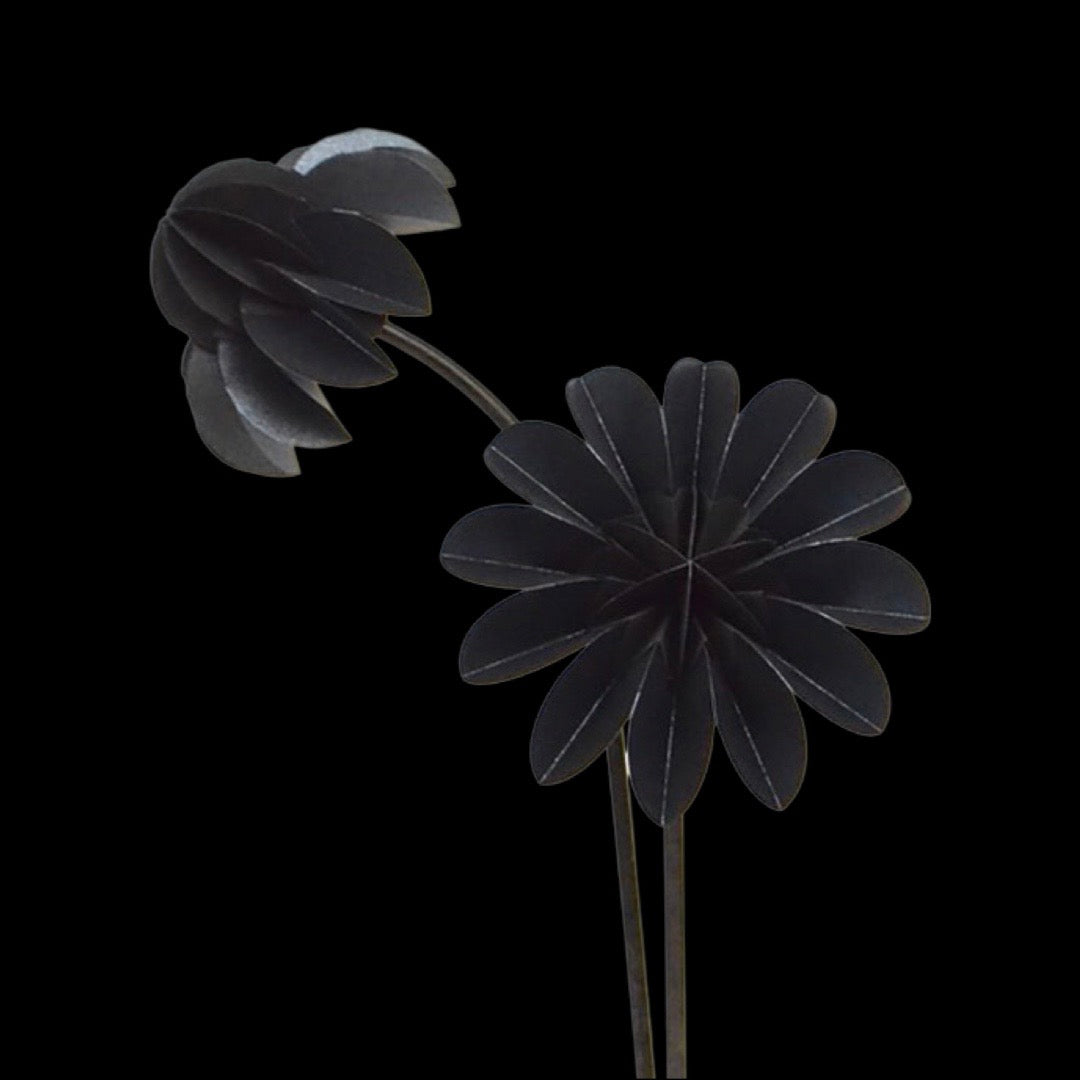 Paperflowers Special edition Zwart│Jorine Oosterhoff│foto zwarte achtergrond