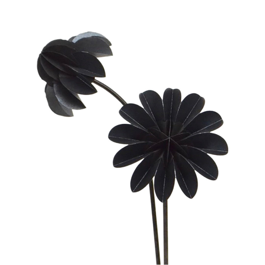 Paperflowers Special edition Zwart│Jorine Oosterhoff│foto witte achtergrond