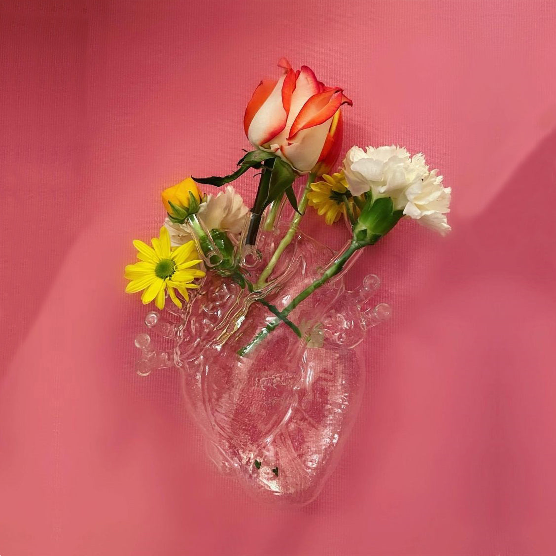 Love in Bloom Vaas • Seletti • Love in Bloom vaas is er nu ook in glas. Deze prachtige vaas is ontworpen door Marcantonio voor het Italiaanse merk Seletti. Hij is vormgegeven in de vorm van een anatomisch menselijk hart. Samen met bloemen is dit hart de ultieme combinatie voor liefde en romantiek.