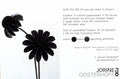 Paperflowers Special edition Zwart│Jorine Oosterhoff│afbeelding inhoud
