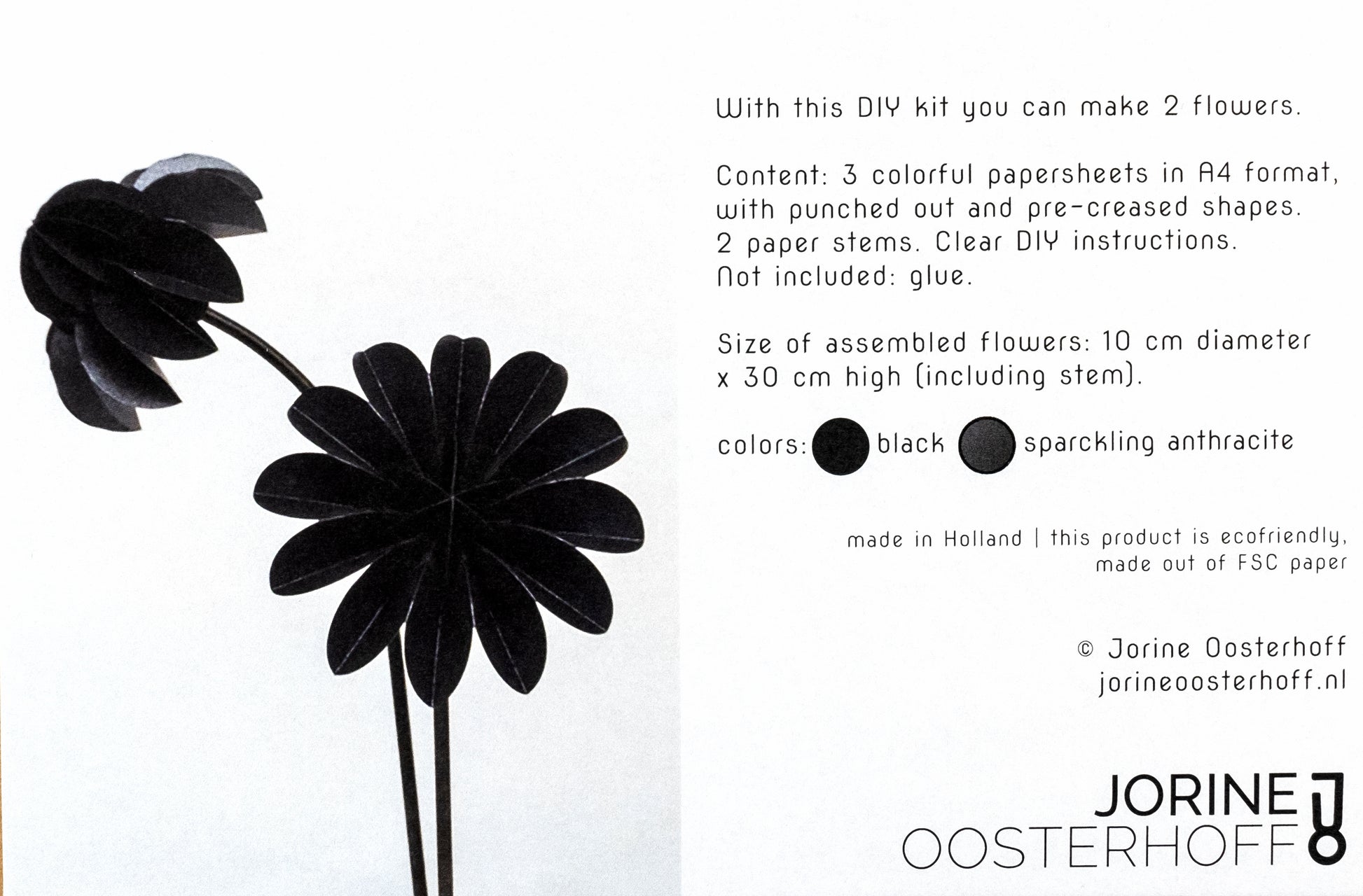 Paperflowers Special edition Zwart│Jorine Oosterhoff│afbeelding inhoud